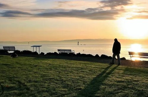 Ən tənha peşələr məlum olub: 14 saatını tək keçirirlər