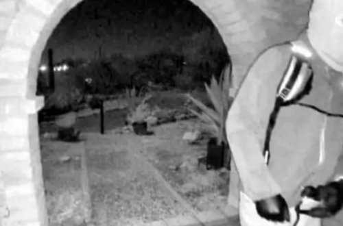 Jurnalistin anası qaçırıldı, FTB görüntüləri yayımladı