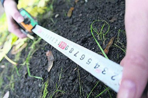 Bələdiyyələrin qanunsuz satdığı torpaqlar geri alınır - Nazirlik məhkəmələrə müraciət edib