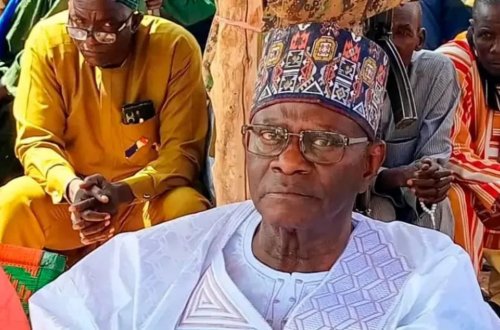 Almaniyadan olan keçmiş baş həkim Nigerdə kral seçildi