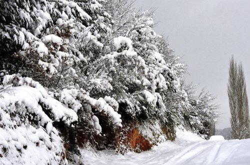 Daşkəsən və Şahdağa qar yağır