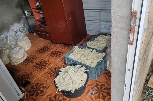 Ağcabədidə qanunsuz fəaliyyət göstərən pendir sexi aşkarlandı - FOTOLAR