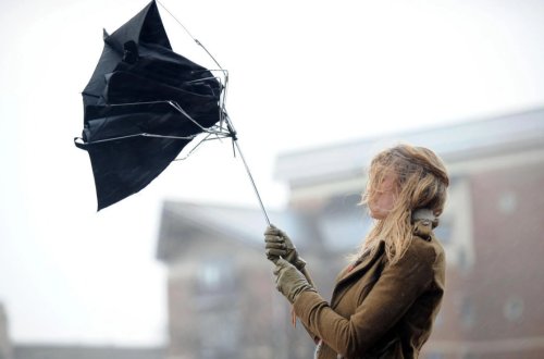 Bakıda və Abşeronda güclü külək əsir, regionlarda duman var - FAKTİKİ HAVA
