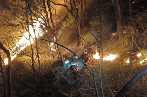 Cənubi Koreyada meşə yanğınları nəzarətdən çıxdı: 3 gündə 190 hektar ərazi kül oldu