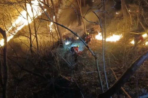 Cənubi Koreyada 200 futbol meydançası böyüklüyündə ərazi külə döndü