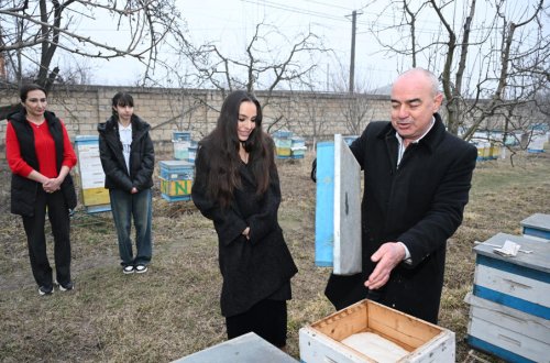 Heydər Əliyev Fondunun vitse-prezidenti Leyla Əliyeva Qubada arıçı ailəsinin qonağı olub - FOTO