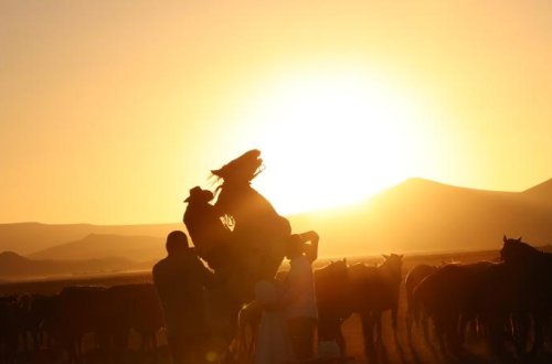 Atlar eyni vaxtda kişnəyir və fit çalır