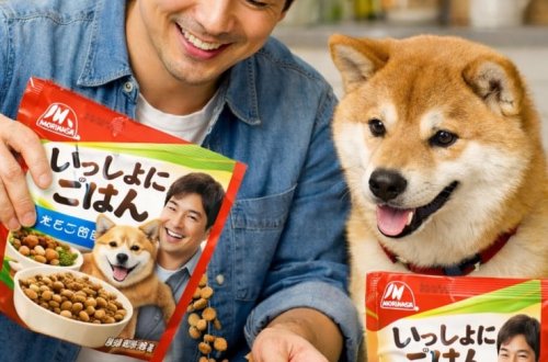 Bu yeməyi həm itlər, həm də sahibləri yeyə biləcək