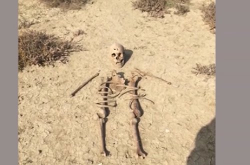 Mikayıl Müşfiqlə bağlı 6 il sonra DNT nəticəsi açıqlandı