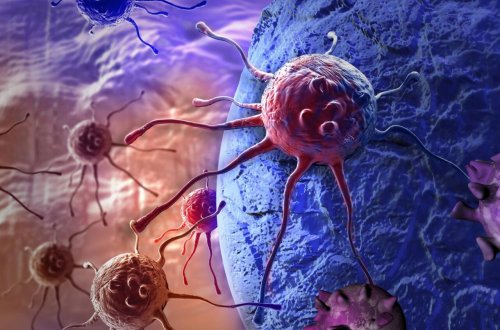 Xərçəngin dərmanı TAPILDI - Bu heyvan imiş