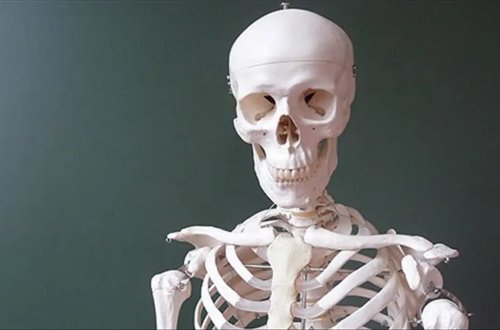 Atmosferdə karbon qazının artması skelet sistemini zəiflədir