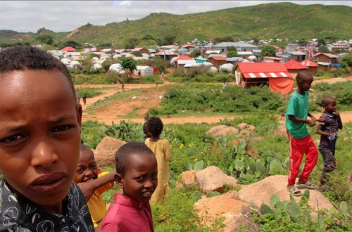 Afrikalıların 1%-dən az hissəsi qitədən köç edir