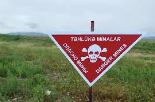 Azad edilmiş ərazilərdə 248 min ha minalardan təmizlənib