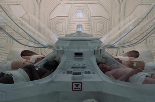 Donmuş beyin toxuması canlandı