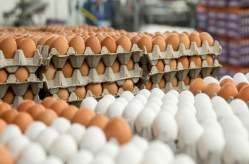 Azərbaycan yumurta ixracını müvəqqəti dayandırdı