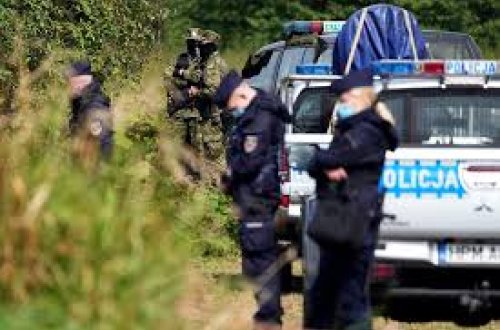 Polşada sirli hadisə: Meşəyə naməlum obyekt düşdü