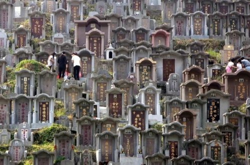 Ölənlərin külünün evdə saxlanmasına qadağa qoyulur