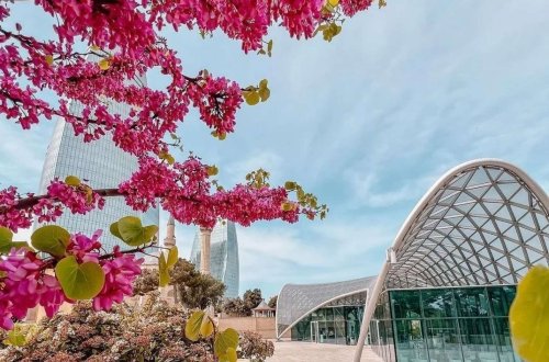 Sabahın havası açıqlandı - Temperatur 25 dərəcəyə yüksələcək