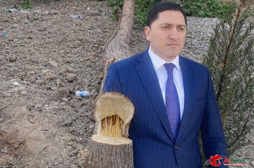 İdarə rəisi Qafar Ağayev agackəsiminə hansı şərtlərlə razılaşır?