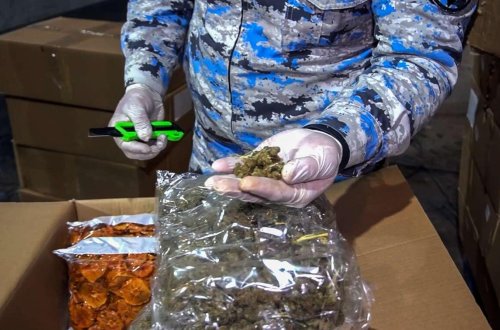 Quru meyvə adı altında ölkəyə narkotik daşındı - ƏMƏLİYYAT