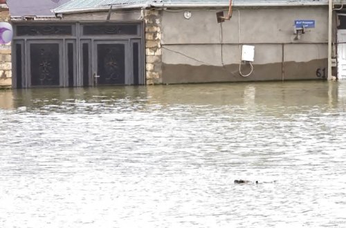 Masazırda qəbiristanlığı və həyətləri su basdı - VİDEO