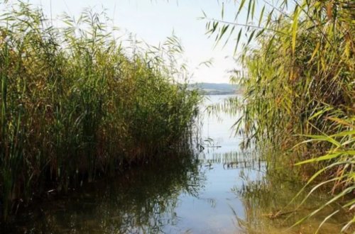 Qobustanda 9 yaşlı uşaq gölməçəyə düşərək ölüb