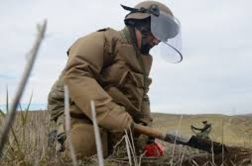 Minatəmizləmə zamanı həlak olanların ailə üzvləri üçün vergi güzəşti müəyyənləşir