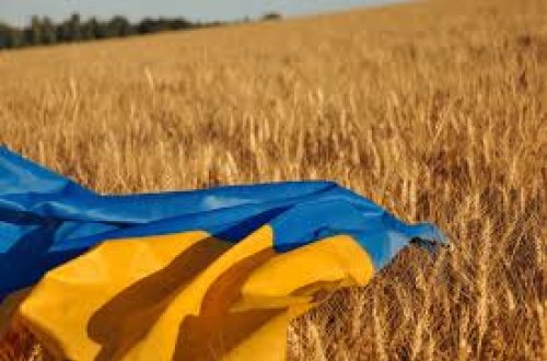 Ukrayna oğurlanmış taxılla yüklü Rusiya gəmisinin İsrail limanında lövbər salmasına görə qəzəblidir