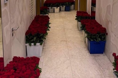 Sevgilisinə bir milyon qızılgül göndərdi - FOTOLAR