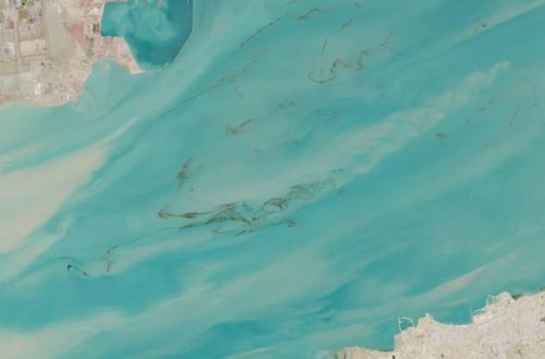 Neft sızıntısı kosmosdan görünür