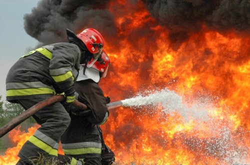 Şəmkirdə yanğın - 20 baş heyvan tələf oldu