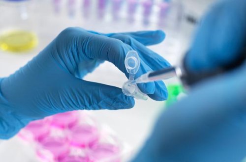 Universitet laboratoriyasında narkotik laboratoriyası tapıldı