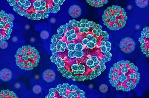 “Hantavirus”a yoluxanların sayı arta bilər?- ÜST-dən AÇIQLAMA
