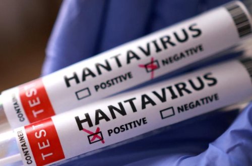 İsraildə bir nəfərdə hantavirus aşkarlanıb
