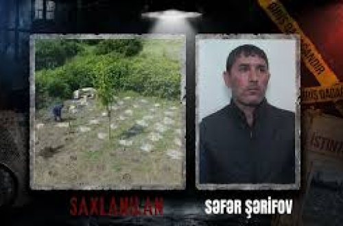 Balakəndə narkotik plantasiyası aşkarlanıb - VİDEO