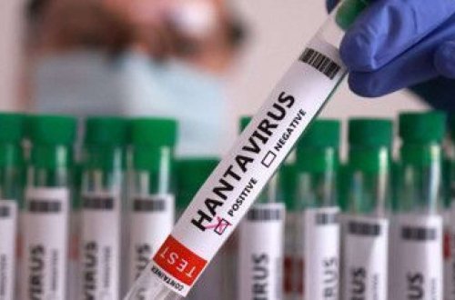 Hantavirus Azərbaycana gəlib? - RƏSMİ
