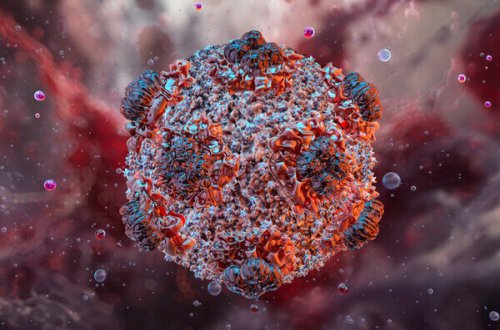 Daha bir ölkədə hantavirus aşkarlandı