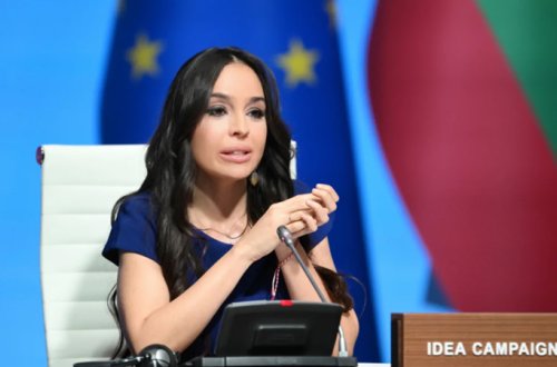 Leyla Əliyeva: IDEA daha sağlam və yaşıl gələcəyin yaradılması üzərində işləyir
