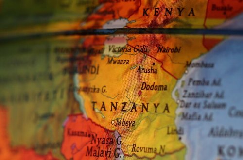 Tanzaniyada nadir yer elementi yatağı aşkar edilib