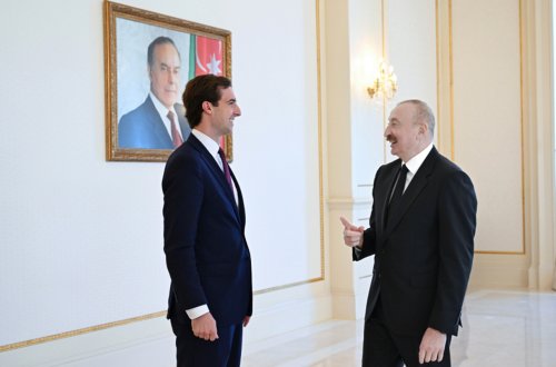 Prezident ABŞ Dövlət katibinin köməkçisini qəbul etdi - Fotolar
