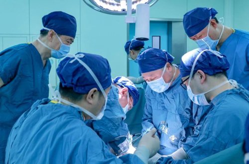 Çindən xenotransplantasiya yolu ilə tarixi transplantasiya