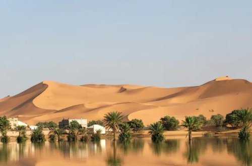 Sahara səhrasında 49 nəfər susuzluqdan ölüb