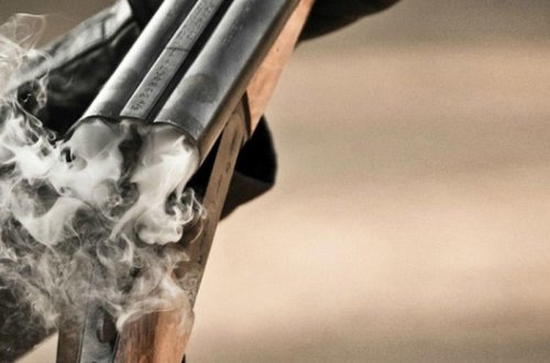 Bacısını qətlə yetirən şəxs cəzadan azad edildi