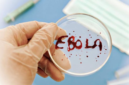 “Ebola” can almağa davam edir: 933 yoluxma qeydə alındı