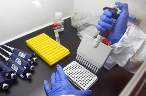 Fransada Ebolaya ilk yoluxma halı qeydə alınıb