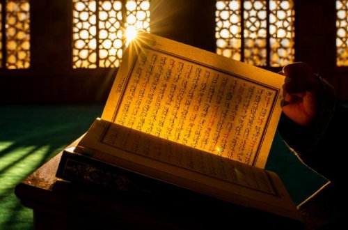 Almaniyada hər gün müsəlmanlara qarşı 11 hadisə baş verir