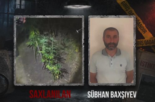 Ağsuda dağlıq ərazidə çətənə kolu əkən şəxs saxlanılıb