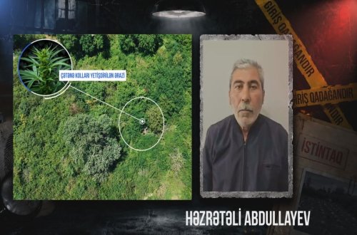 Qaxda çay sahilində çətənə kolu yetişdirən şəxs saxlanılıb - VİDEO