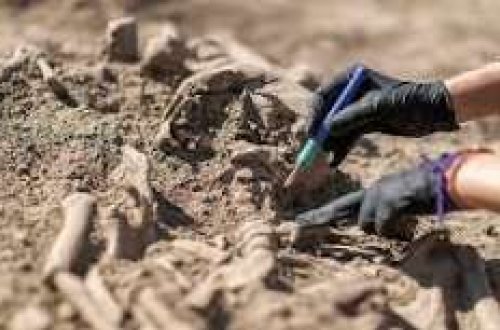 Şimali İrlandiyada Tunc dövrünə aid qədim şəhər tapıldı