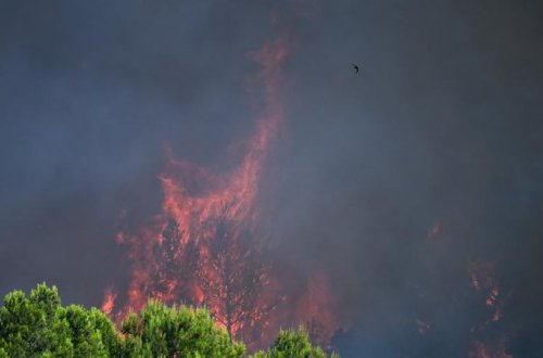 Fransada baş verən yanğında təxminən 900 hektar ərazi külə dönüb
